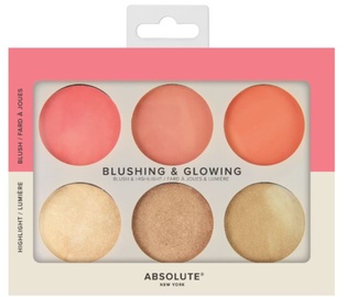 ABSOLUTE NY BLUSHING & GLOWING PALETTE - LIGHT TO MEDIUM AHC12